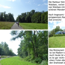 011 Radtour zum Rheinblick_Waldsee P1010496