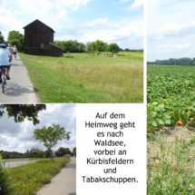 018 Radtour zum Rheinblick_Heimweg nach Waldsee