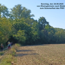 001 Wanderung nach Waldsee 20250824