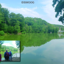 002 2025.07.25 Eiswoog_Stempelkopftunnel