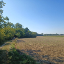 002 Wanderung nach Waldsee 20250824_103248