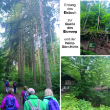 003 2025.07.25 Eiswoog_Stempelkopftunnel