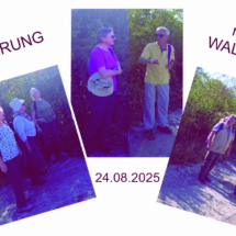 003 2025.08.24 Sommerfest Waldsee