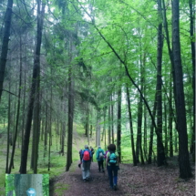 003a 2025.07.25 Eiswoog_Stempelkopftunnel