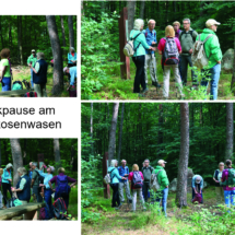 004a 2025.07.25 Eiswoog_Stempelkopftunnel_Franzosenwasen