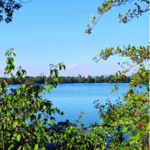 005 2025.08.24 Sommerfest Waldsee_Neuhofer Altrhein_Hochhäuser