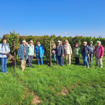 005 2025.10.01 Edesheim-Flemlingen 20251001_112834