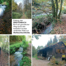 005 2025.10.25 Kuckucksbähnel_Wanderung Wolfsschluchthütte005