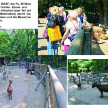 005_2025.06.11 Wildpark Rheingönheim