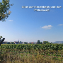 006 2025.10.01 Edesheim-Flemlingen 1759311410069