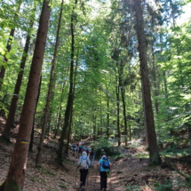 006_2025.07.13_Geissbockwanderung