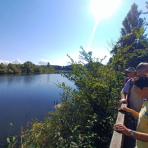 007 2025.08.24 Sommerfest Waldsee_Neuhofer Altrhein_104141_104