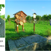 007 2025.10.01 Edesheim-Flemlingen_Roschbach Bienenrundweg