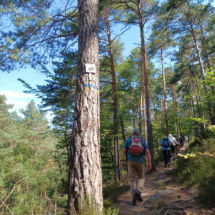 007_2025.07.13_Geissbockwanderung