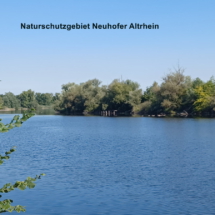 007a 2025.08.24 Sommerfest Waldsee_Neuhofer Altrhein_104447_379