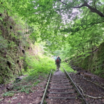 007a_2025.07.27 Eiswoog Stempelkopftunnel_Bahngleise IMG-20250727-WA0009
