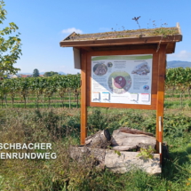 008 2025.10.01 Edesheim-Flemlingen 1759311362354