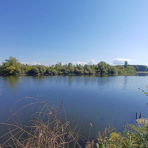 008 20250824 Sommerfest Waldsee Neuhofer Altrhein 104216_414