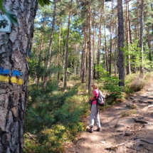 008_2025.07.13_Geissbockwanderung 20250713_115841