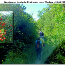 009 2025.08.24 Sommerfest Waldsee_Neuhofer Altrhein