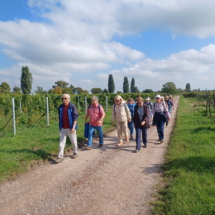 009 2025.10.01 Edesheim-Flemlingen 1759313721173