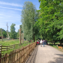 009_2025.06.11 Wildpark Rheingönheim 20250611_105024