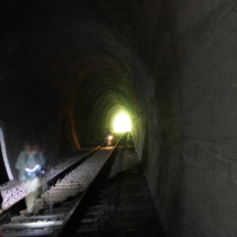 009_2025.07.27 Eiswoog Stempelkopftunnel BU5A2193