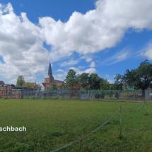 009a 2025.10.01 Edesheim-Flemlingen Roschbach1756461682112