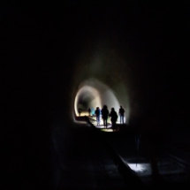 009a_2025.07.27 Eiswoog Stempelkopftunnel IMG-20250727-WA0011