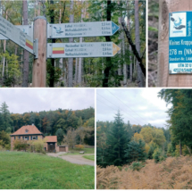010 2025.10.25 Kuckucksbähnel_Wanderung Esthal010