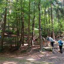 010_2025.07.13_Geissbockwanderung 20250713_114413