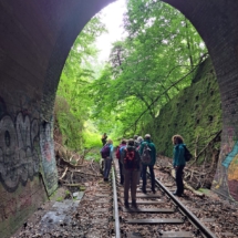 010_2025.07.27 Eiswoog Stempelkopftunnel IMG-20250727-WA0010