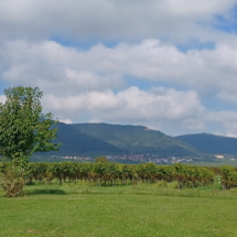 010a 2025.10.01 Edesheim-Flemlingen Roschbach1759314083611