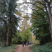 012 2025.10.25 Kuckucksbähnel_Wanderung nach Elmstein 1760276311371013