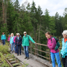 012 Eiswoog Stempelkopftunnel_Eistalviadukt BU5A2201