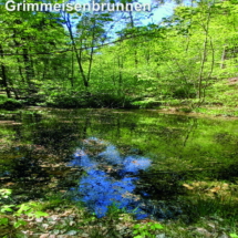 012_2025.07.13_Geissbockwanderung Grimmeisenbrunnen