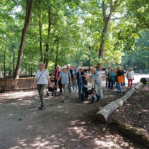 013_2025.06.11 Wildpark Rheingönheim 20250611_103740