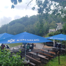 013a Eiswoog Stempelkopftunnel 20250727_150139