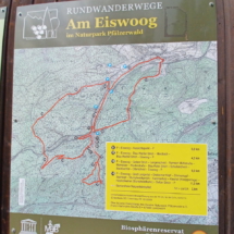 014 Eiswoog Stempelkopftunnel 20250727_151801