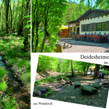 014_2025.07.13_Geissbockwanderung_Deidesheimer Hütte