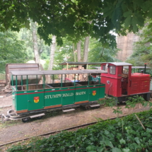 015 Eiswoog Stempelkopftunnel Stumpfwaldbahn1753616446690