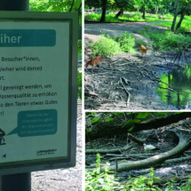 015_2025.06.11 Wildpark Rheingönheim_ Weiher