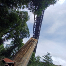 016 Eiswoog Stempelkopftunnel Viadukt