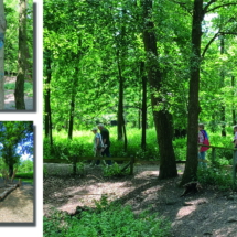 016_2025.06.11 Wildpark Rheingönheim