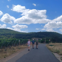 019_2025.07.13_Geissbockwanderung 20250713_143524