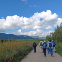 020 2025.210.01 Edesheim_Flemlingen nach Hainfeld 1759322535086